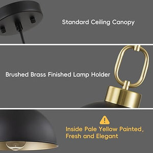 12.2 Inch Matte Black Pendant Lights