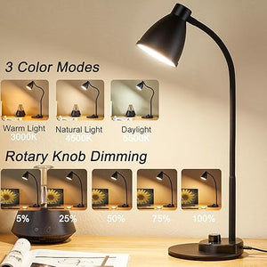 BOHON LED Desk Lamp