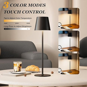 Cordless Table Lamp