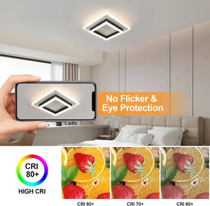 Modern LED Ceiling Light 30W