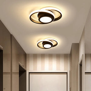 LED Lamp Ceiling Light Modern